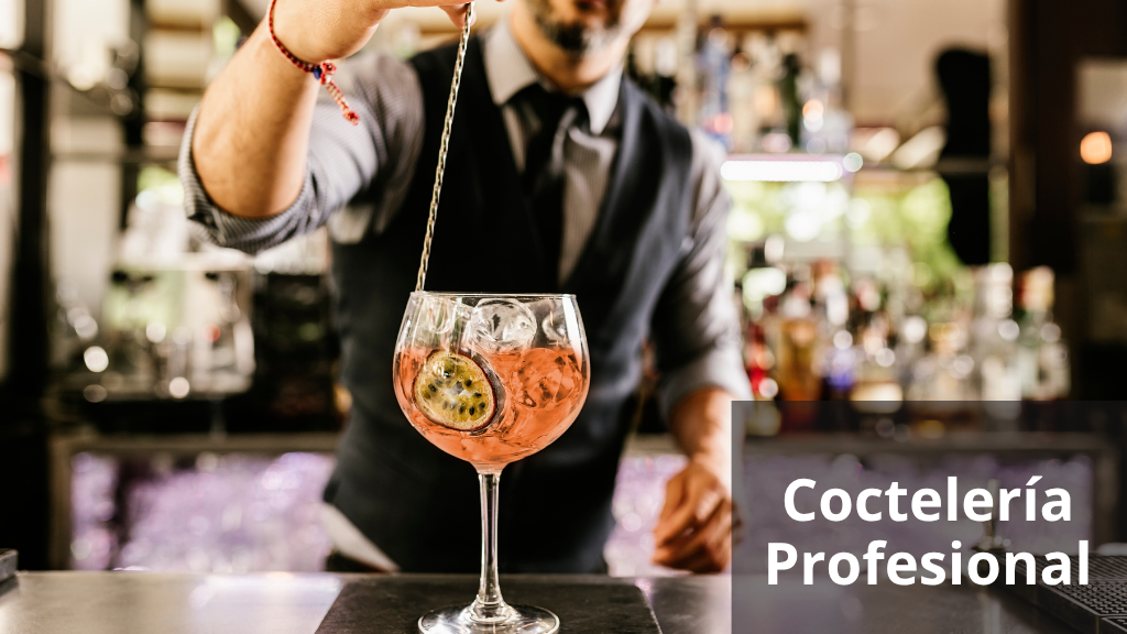 Coctelería Profesional